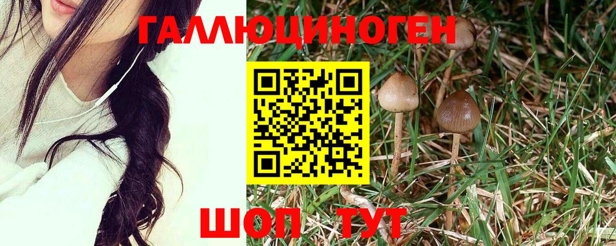 Выкса  Галлюциногенные грибы мухоморы  Вход с VPN 